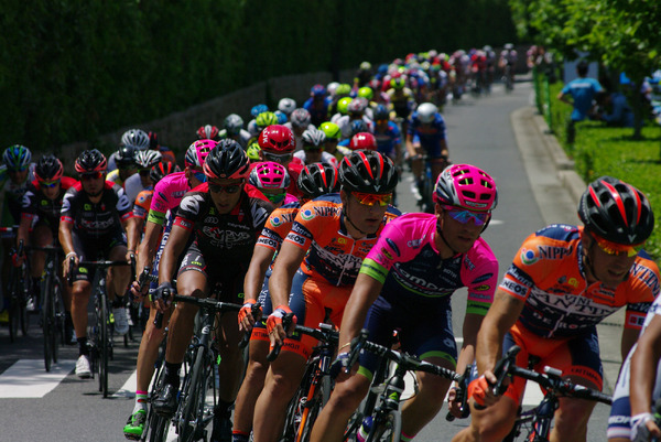 自転車ロードレース「ツアー・オブ・ジャパン 堺ステージ」5/29開催