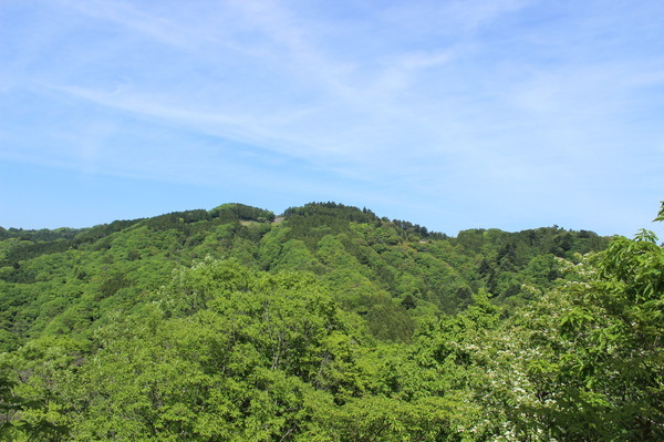 亀ヶ淵山からの景色。武生山かな？