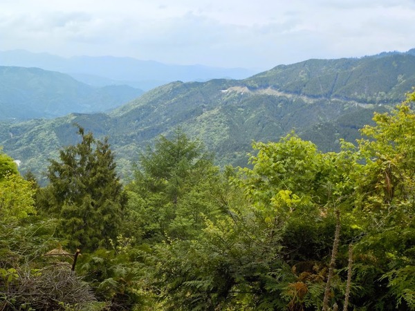 自然の懐に抱かれていることを実感。この手前では野生のサルの集団にも遭遇した