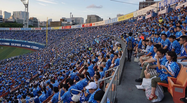 ベイスターズファンに聞いたYOKOHAMA STAR☆NIGHTの魅力