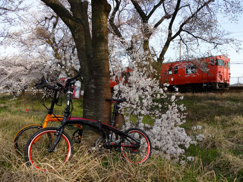 折りたたみ自転車ダホンの乗り手がサイクリングの途中で見つけた素敵な景色