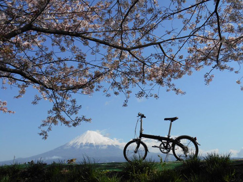 折りたたみ自転車ダホンの乗り手がサイクリングの途中で見つけた素敵な景色