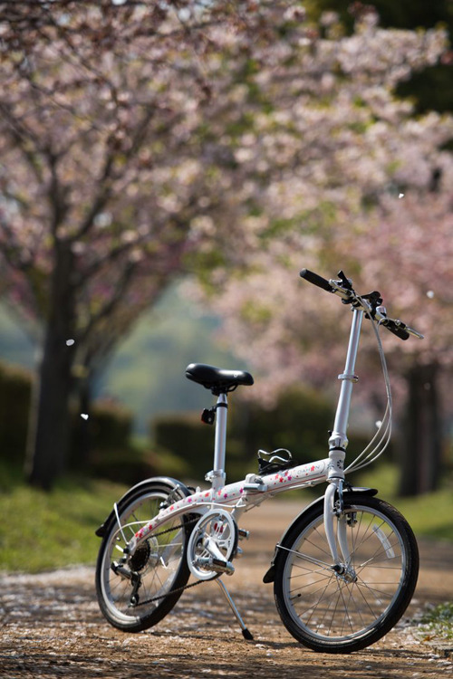 折りたたみ自転車ダホンの乗り手がサイクリングの途中で見つけた素敵な景色