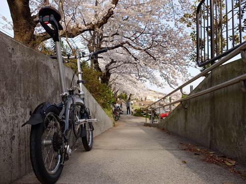 折りたたみ自転車ダホンの乗り手がサイクリングの途中で見つけた素敵な景色