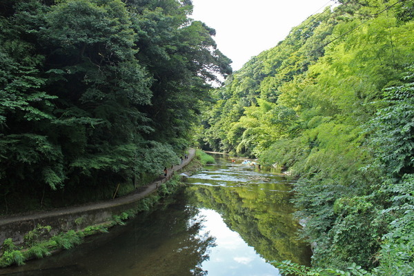 遊歩道を散歩