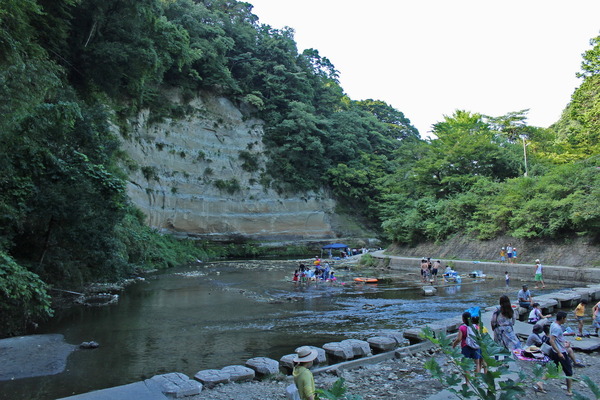 夏休みらしい、光景