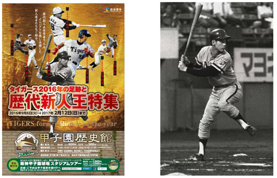 甲子園歴史館、企画展「タイガース2016年の足跡と歴代新人王特集」開催