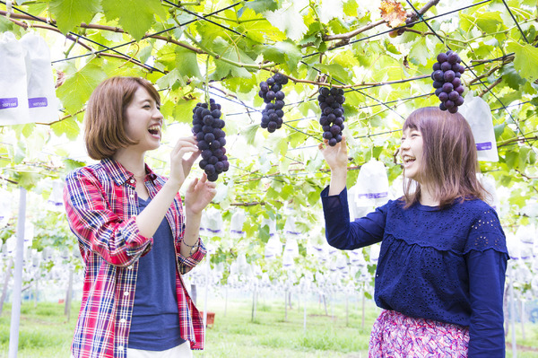 秋の味覚を楽しむサイクリングプログラム「かすみがうらライドクエスト」