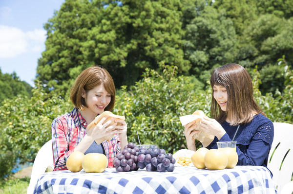 秋の味覚を楽しむサイクリングプログラム「かすみがうらライドクエスト」