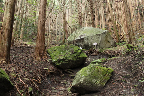 竪破山の登山道。ところどころに奇石がある。