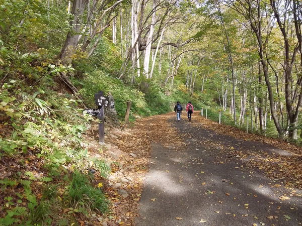 一ノ倉沢までは電気自動車が運行できるような舗装路。道路左脇に谷川岳山頂を目指す上級者ルートの道標がある