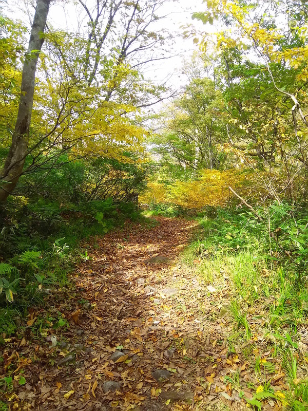 湯檜曽川沿いの散策路。鎌倉の里山のような気軽なルートだ