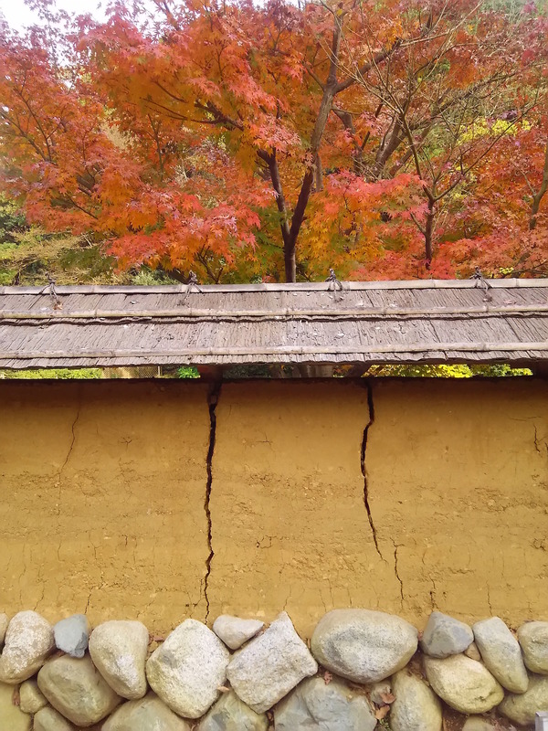 鎌倉は12月上旬まで紅葉が楽しめる。鎌倉中央公園もチェックポイント