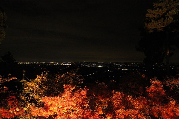 モミジだけでなく、関東平野の夜景も楽しめる