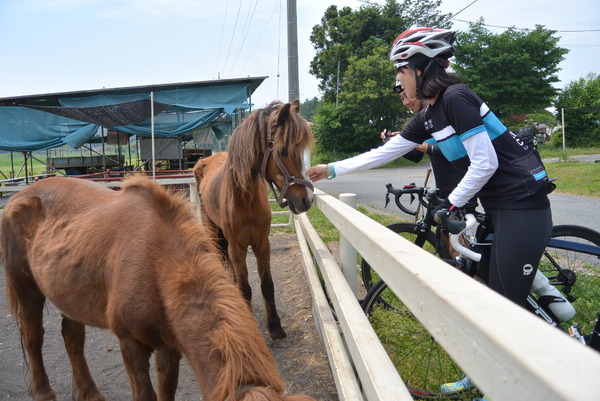 リンケージサイクリングの富士山ツアー