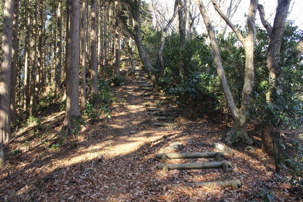 嫌というほどに階段がある山だった