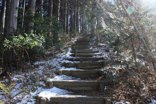 山頂から高峰にかけては、残雪も混じる