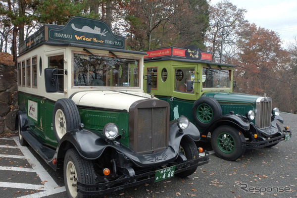 アスキスというイギリスのメーカーが1920年代に作っていたモデルの復刻版なのだそうだ。手前は注文の多い料理店号。