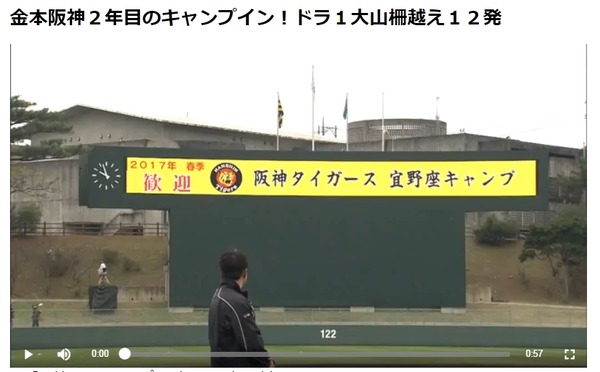 阪神タイガースキャンプ動画、デイリースポーツ・オンラインが無料配信