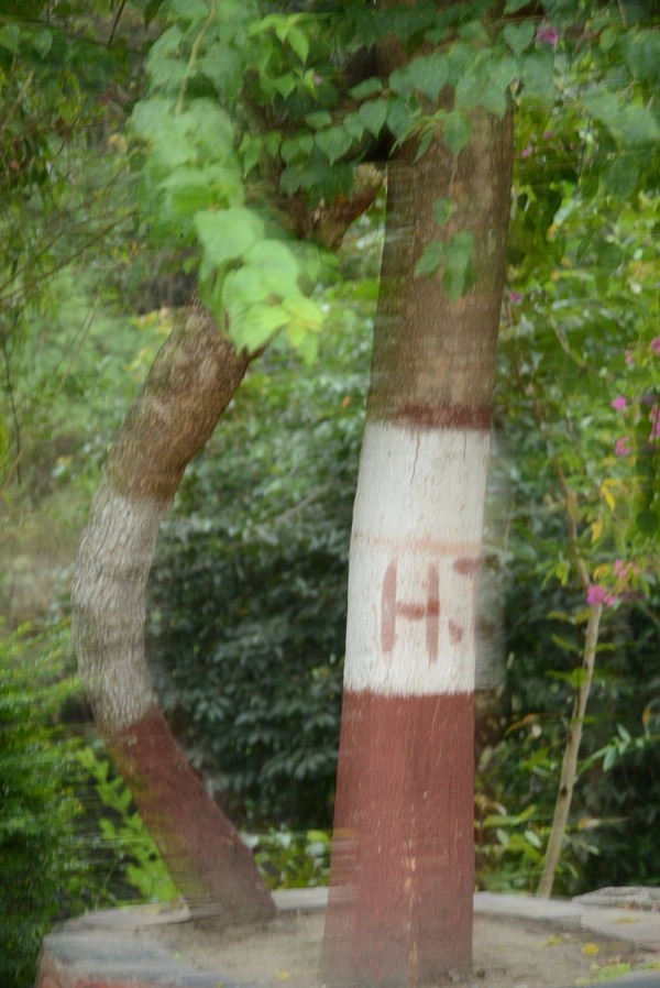 Annapurna Circuit Trek