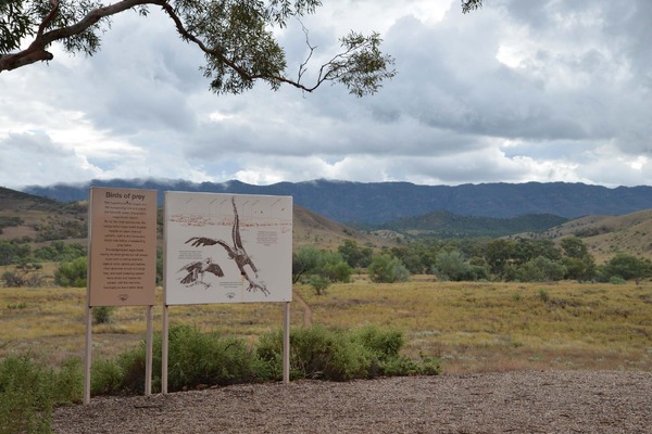 Flinders range