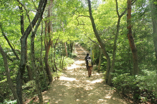 気持ちのいい登山道。