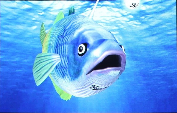 「謎の魚」