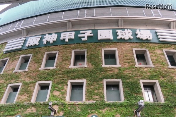 夏の甲子園がまもなく開幕する（イメージ写真）