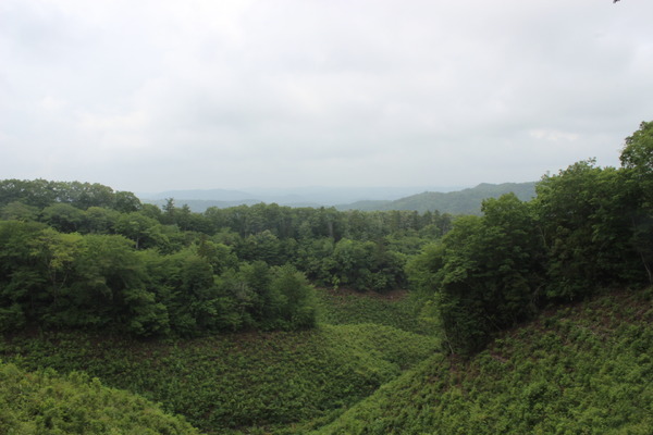 伐採地跡からの眺め。遠くの方に山も見える。晴れていれば、もっとはっきりと見えたのに。