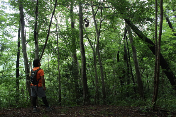 時間にゆとりがあるから、山の植物をじっくり観察できるのも低山の魅力だ。