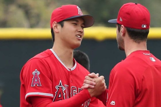 エンゼルス・大谷翔平【写真：西山和明】