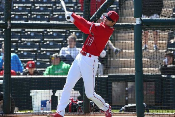 フリー打撃で快音を響かせたエンゼルス・大谷翔平【写真：西山和明】