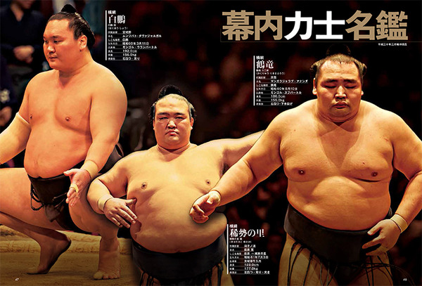 白鵬、鶴竜、稀勢の里を特集した「大相撲ぴあ 平成三十年度版」発売