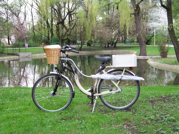 bike umbrella