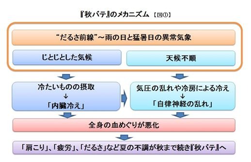 ゲリラ豪雨と猛暑によるだるさ前線。内臓冷え、自律神経の乱れからくる秋バテも用心