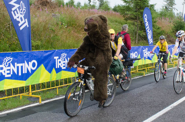 スロバキアの山岳ステージでは熊が出ました（ツール・ド・ポローニュ14）