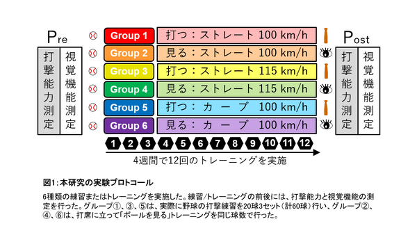 順天堂、野球の打撃能力が実際と同じ球種・球速で練習すると大きく向上することを発見