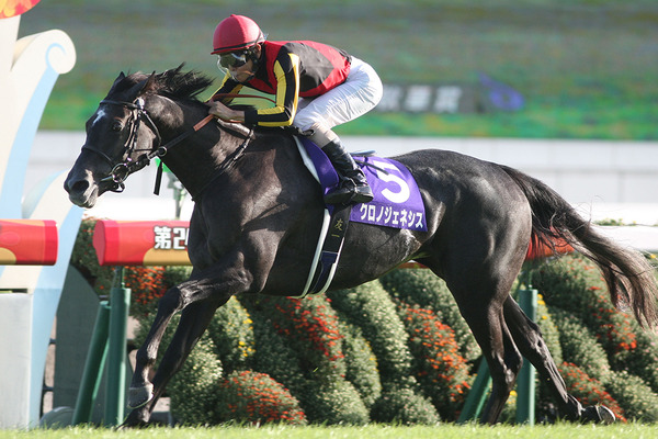 【競馬】有馬記念枠順データ「クロノジェネシスの5枠は過去10年で勝利なし」