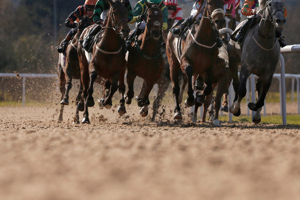 【競馬】東京大賞典はオメガパフュームが接戦を制し3連覇達成