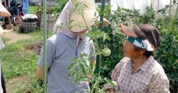 【礒崎遼太郎の農輪考】種を蒔いて、種を採る。人間の営み