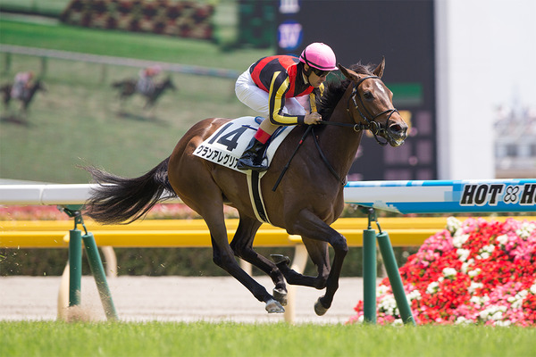 【競馬】グランアレグリア、次走・大阪杯で三冠馬コントレイルと激突へ