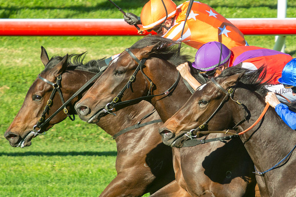 【競馬】「東京新聞杯」ヴァンドギャルドに死角あり、カギとなるのは【0-0-0-3】の冬適性