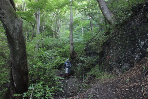 だんだんと岩が増える。