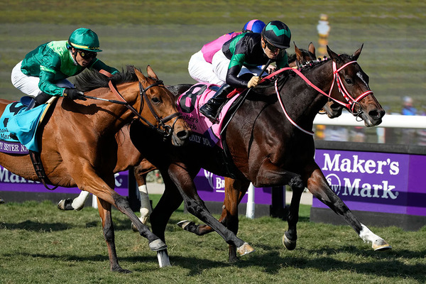 【香港カップ】今年海外GI3勝　異国の地でラヴズオンリーユーが有終の美飾る