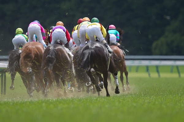 【桜花賞／馬場情報】「限りなく良」阪神芝は“イン＋前”有利　土曜は2枠2勝3着1回