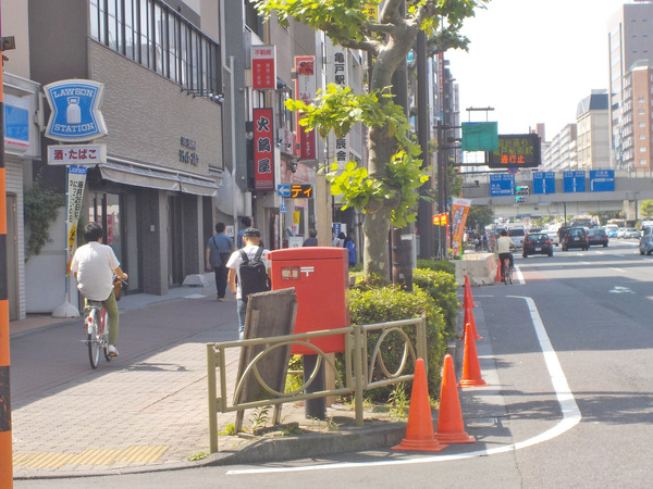 自転車道の反対側。道交法に則れば、車道も歩道も自転車が通行してはならないはず