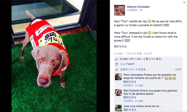 Facebookに愛犬の画像をアップした