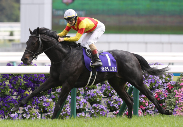 春の天皇賞馬ジャスティンパレスが有馬記念参戦を表明　現在の出走予定馬は？