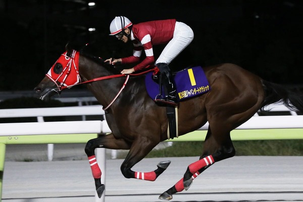 【ジャパンダートクラシック】フォーエバーヤングが世界トップレベルの走りで完勝　“瑠星コール”が鳴り響く