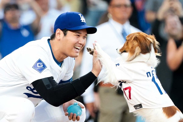 【MLB】大谷翔平の愛犬・デコピンが“最優秀始球式”で初受賞　「何回見てもお利口さん」「可愛すぎる」